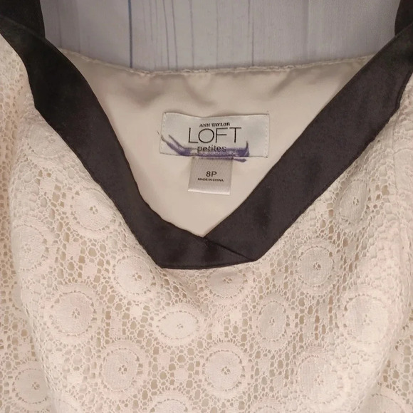 Ann Taylir Loft Black Trim Ivory Lace Sleeveless Dress Size 8p - Picture 5 of 7
